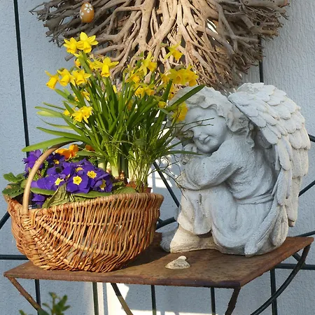 Daire Haus Nordlicht